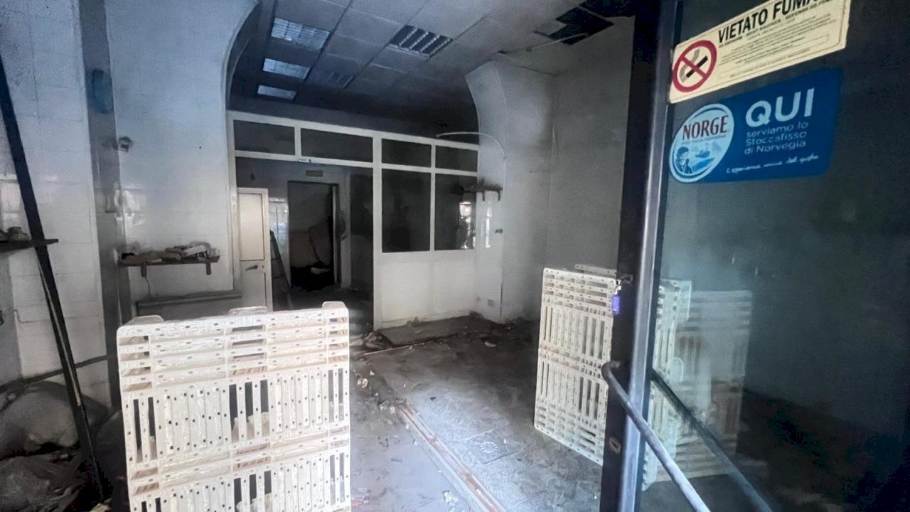 WhatsApp Image 2025-10-27 at 16.40.07.jpeg - Commercial Premises Catania - photo 3