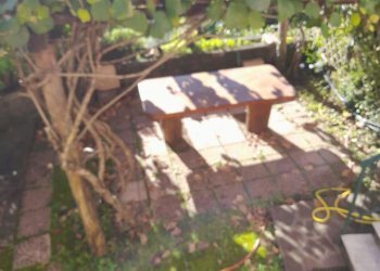 WhatsApp Image 2025-10-20 at 18.33.34 (4).jpeg - Casa indipendente Via Maestra 0, Carrodano - foto 4