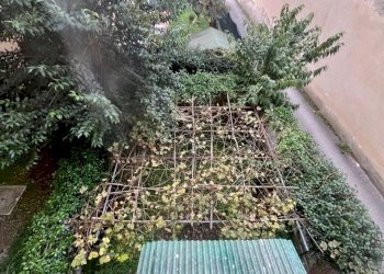 WhatsApp Image 2025-10-27 at 10.10.45 (4).jpeg - Quadrilocale Via Giovanni Borelli, Firenze - foto 6