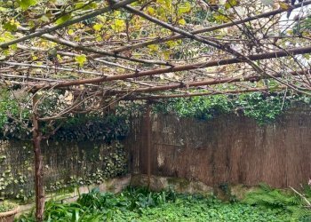 WhatsApp Image 2025-10-27 at 10.10.45 (21).jpeg - Quadrilocale Via Giovanni Borelli, Firenze - foto 23