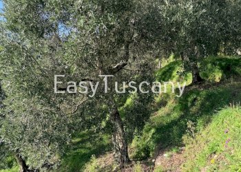 image00009.jpeg - Casale strada provinciale 55, Bagni di Lucca - foto 10