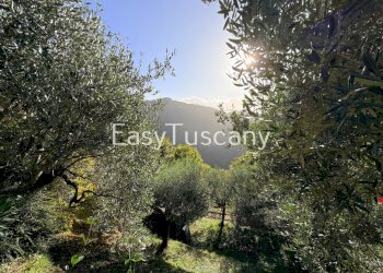 image00018.jpeg - Casale strada provinciale 55, Bagni di Lucca - foto 12