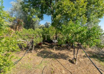 Via di Bartolo 32 Cerza (15).jpg - Villa Via di Bartolo, San Gregorio di Catania - foto 16