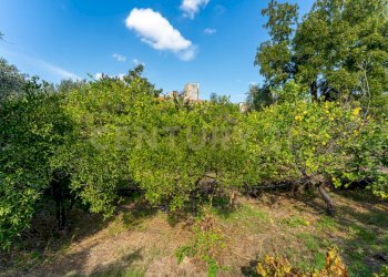 Via di Bartolo 32 Cerza (16).jpg - Villa Via di Bartolo, San Gregorio di Catania - foto 17