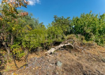 Via di Bartolo 32 Cerza (17).jpg - Villa Via di Bartolo, San Gregorio di Catania - foto 18