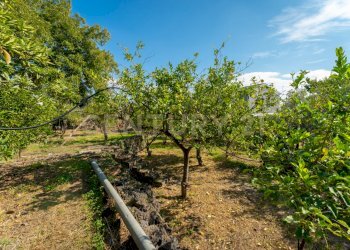 Via di Bartolo 32 Cerza (18).jpg - Villa Via di Bartolo, San Gregorio di Catania - foto 19