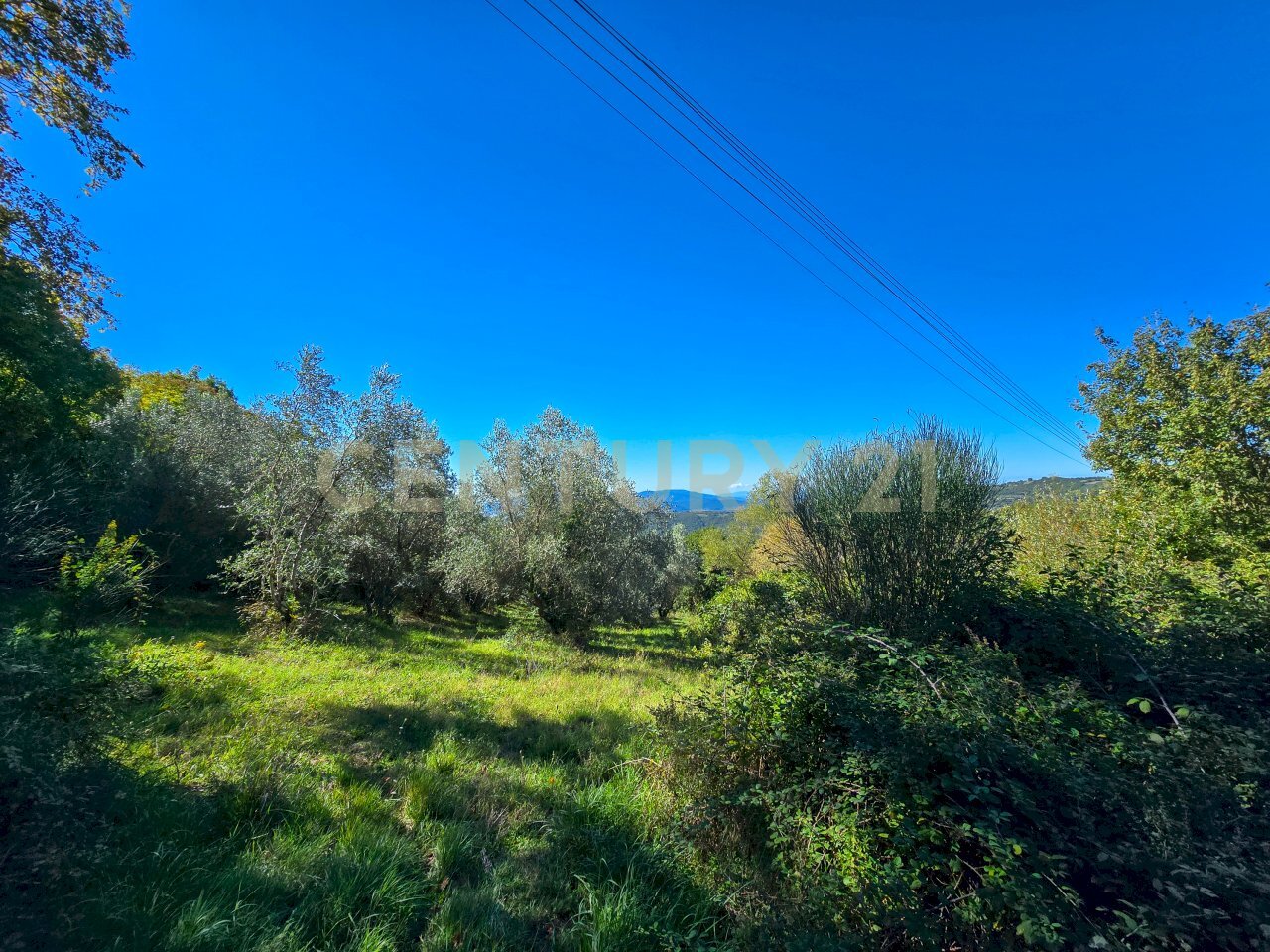 Capannone le coste-01.jpg - Monolocale località le coste snc, Roccastrada - foto 2