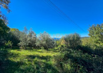 Capannone le coste-01.jpg - Monolocale località le coste  snc, Roccastrada - foto 2