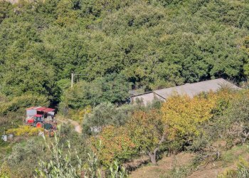 Capannone le coste-11.jpg - Monolocale località le coste  snc, Roccastrada - foto 5