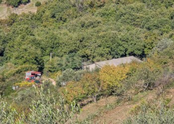 Capannone le coste-12.jpg - Monolocale località le coste  snc, Roccastrada - foto 6