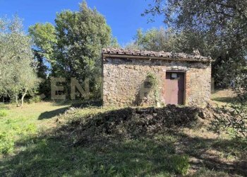 annesso 1.jpeg - Rustico Località Le Fonti, Civitella Paganico - foto 2