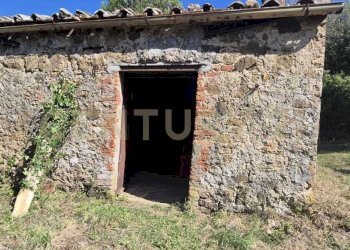 annesso 2.jpeg - Rustico Località Le Fonti, Civitella Paganico - foto 3