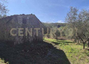 annesso 3.jpeg - Rustico Località Le Fonti, Civitella Paganico - foto 4