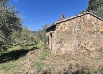 annesso 4.jpeg - Rustico Località Le Fonti, Civitella Paganico - foto 5