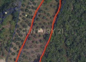 area della zona.jpeg - Rustico Località Le Fonti, Civitella Paganico - foto 6