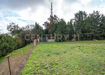 DSC07887.jpg - Villa Via Monsignor Saverio Gerbino 56, Caltagirone - foto 12