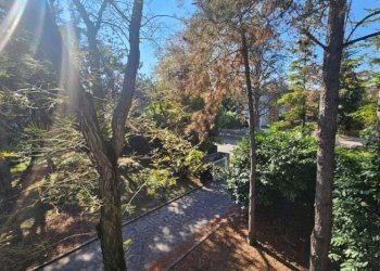 Villa Soliera - photo 29