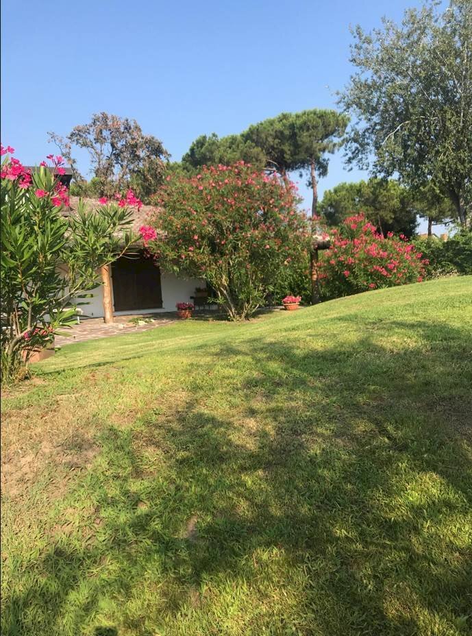 Villa Rosolina - photo 3