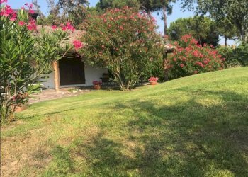 Villa Rosolina - foto 5