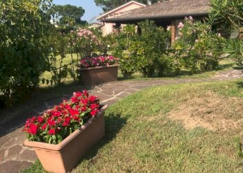 Villa Rosolina - foto 6