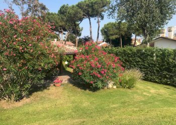 Villa Rosolina - foto 10