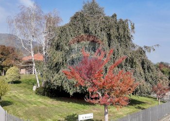 Villa Via Bozzalla, 22 
 Pollone, Pollone - foto 45