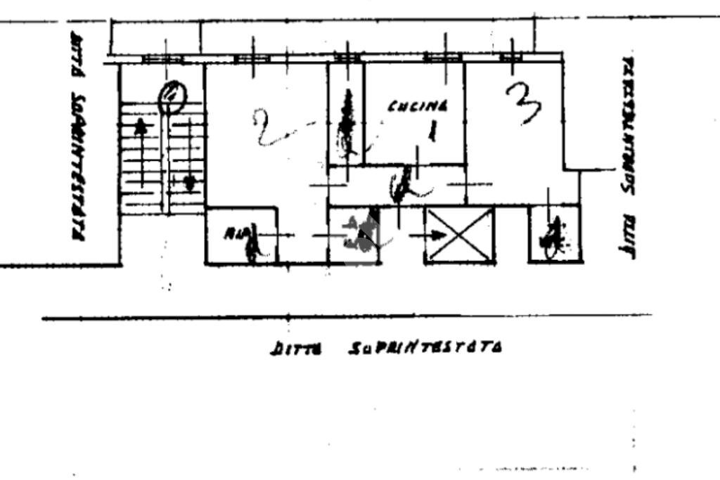 Trilocale Via Privata Romana, Alassio - planimetria 1