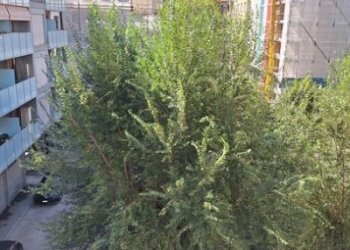 Bilocale Torino - foto 6