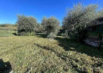 Casa semi indipendente Via Falcinello, Sarzana - foto 14