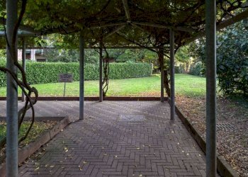 Appartamento Torino - foto 4