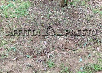 Foto 14 - Casa semi indipendente via silvestroni, Russi - foto 14