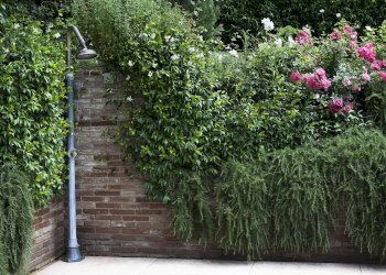 Foto 29 - Casa semi indipendente via della casina, Montopoli in Val d'Arno - foto 29