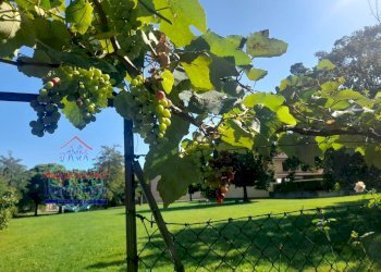 Foto 23 - Trilocale VIA BENEDETTO SCHIASSI
 
128, Budrio - foto 23