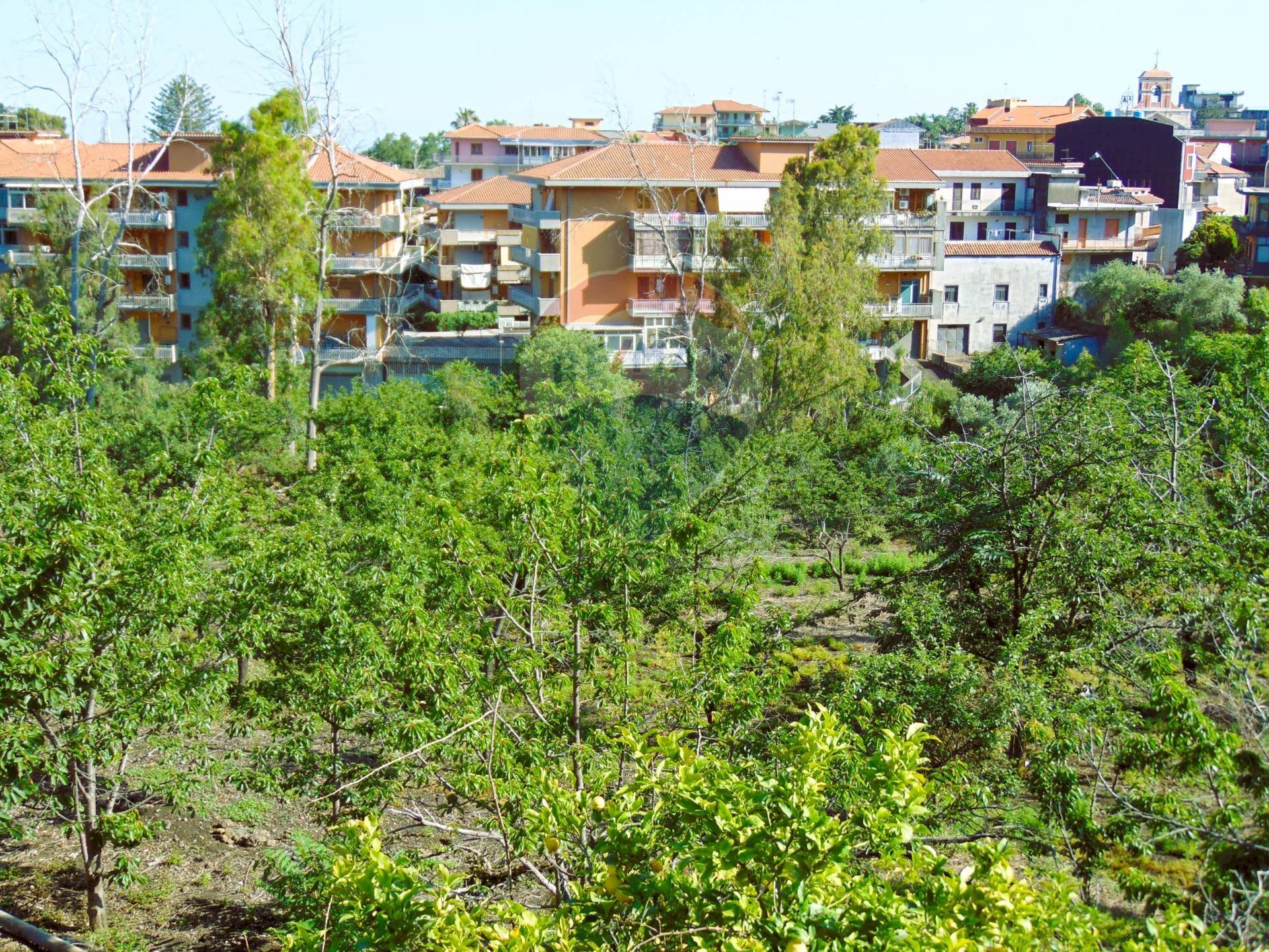 Edificio all\'aperto - Terreno agricolo Via Duccio Galimberti
 
snc, Santa Venerina - foto 1