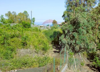 Giardino - Terreno agricolo Via Duccio Galimberti
 
snc, Santa Venerina - foto 8