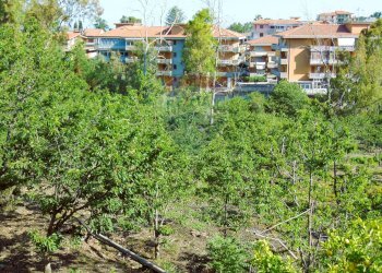 Edificio all\'aperto - Terreno agricolo Via Duccio Galimberti
 
snc, Santa Venerina - foto 9