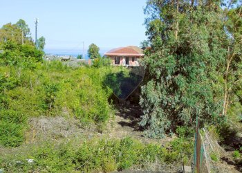 Giardino - Terreno agricolo Via Duccio Galimberti
 
snc, Santa Venerina - foto 10
