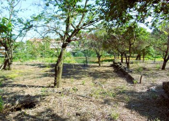 Giardino - Terreno agricolo Via Duccio Galimberti
 
snc, Santa Venerina - foto 12