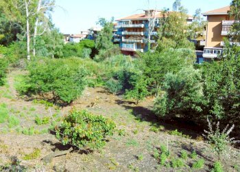 Giardino - Terreno agricolo Via Duccio Galimberti
 
snc, Santa Venerina - foto 20