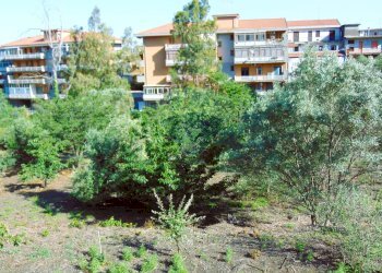 Edificio all\'aperto - Terreno agricolo Via Duccio Galimberti
 
snc, Santa Venerina - foto 21