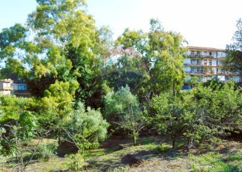 Giardino - Terreno agricolo Via Duccio Galimberti
 
snc, Santa Venerina - foto 22