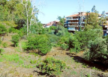 Giardino - Terreno agricolo Via Duccio Galimberti
 
snc, Santa Venerina - foto 25