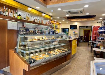 Dispensa di stoccaggio - Bar Tavola Calda - Fredda via aurelia sud
153, Viareggio - foto 5