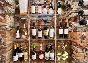 Cantina - Bar Tavola Calda - Fredda via aurelia sud
153, Viareggio - foto 9