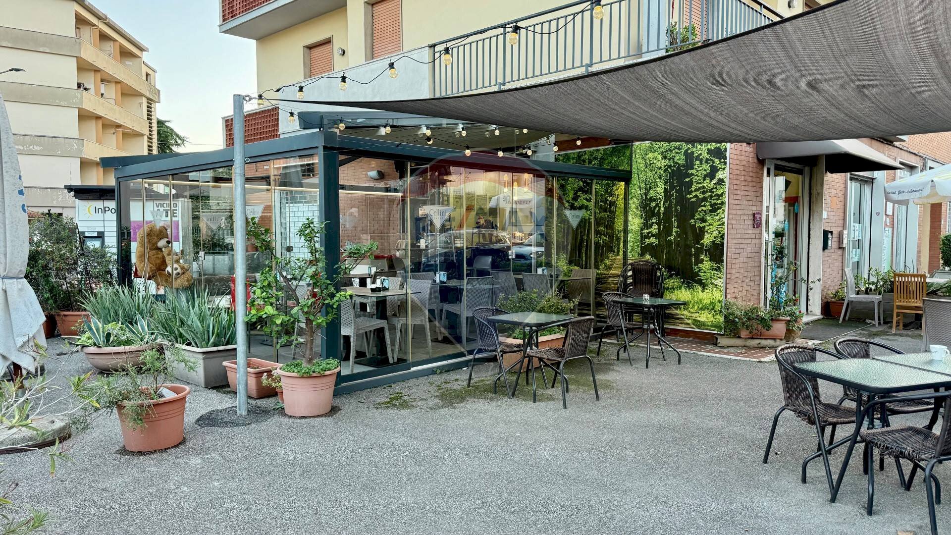 Terrazza - Cafeteria - Cold Bar Via Raffaelo Sanzio
1, Empoli - photo 3