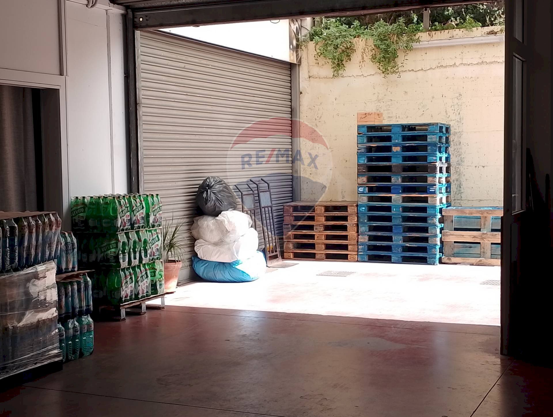 Terrazza - Locale Commerciale Nettuno - foto 2