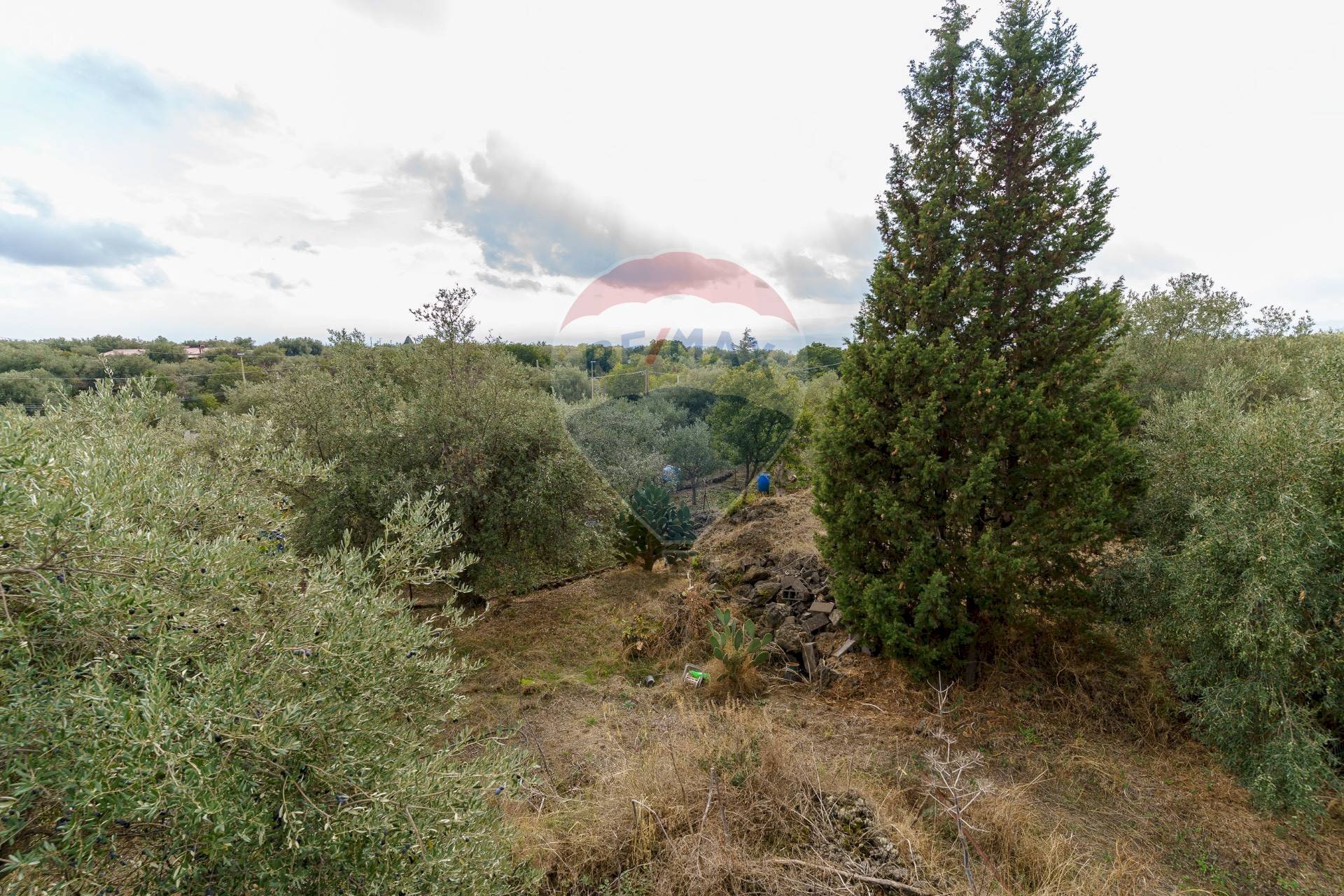 Vista delle montagne - Villa contrada edere, Belpasso - photo 3