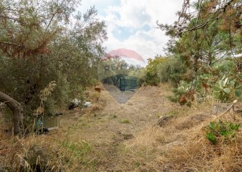 Giardino - Villa contrada edere, Belpasso - foto 4