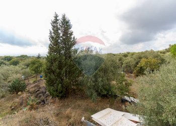 Giardino - Villa contrada edere, Belpasso - foto 16