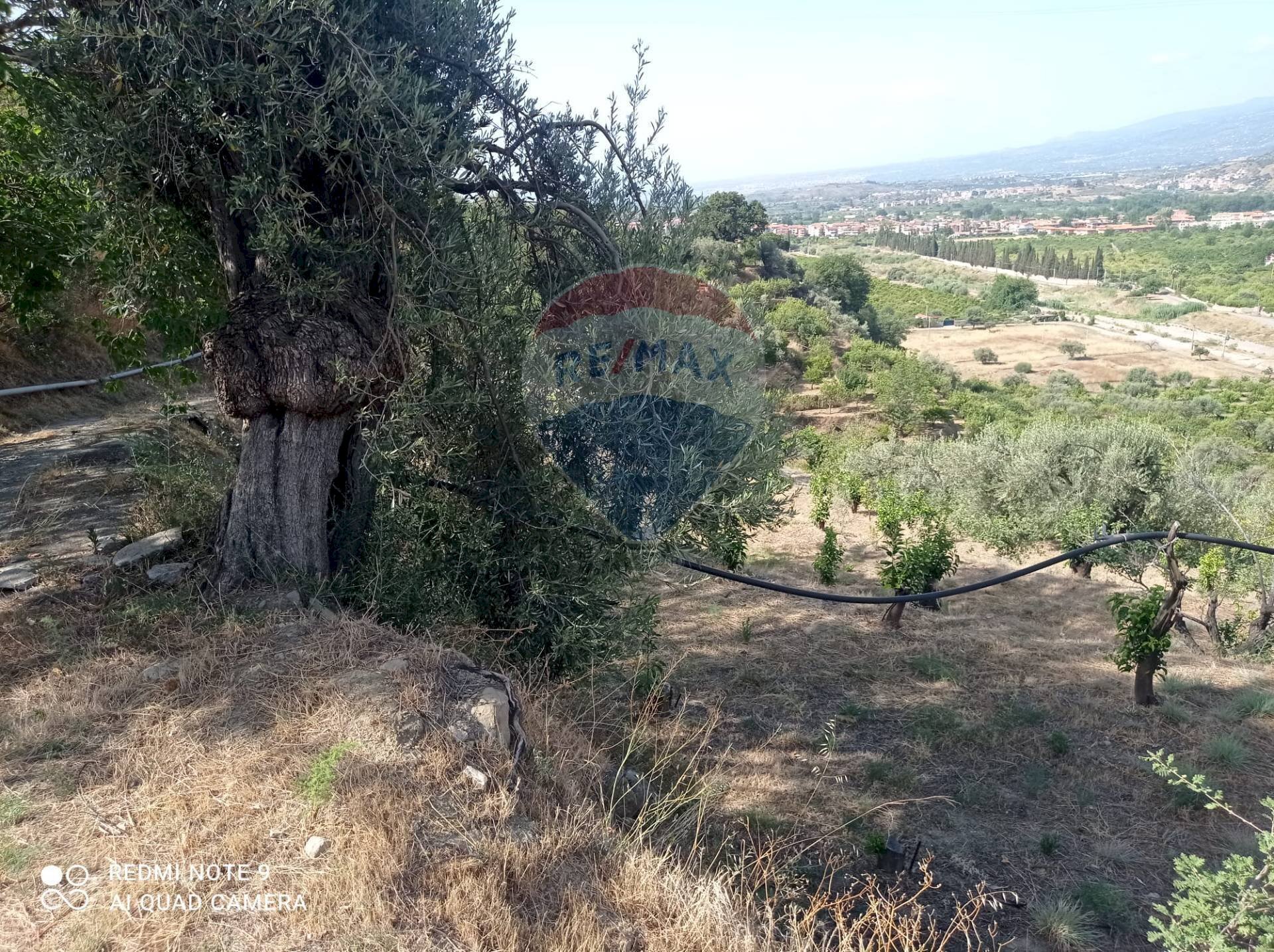 Giardino - Terreno agricolo via fondaco d'accorso, Taormina - foto 2
